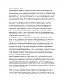 Habían atropellado un venado