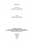 ¿Cuál es la importancia de la digitalización y acceso abierto en la museología?