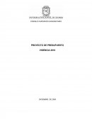 PROYECTO DE PRESUPUESTO VIGENCIA 2010