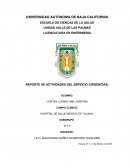 REPORTE DE ACTIVIDADES DEL SERVICIO (URGENCIAS)