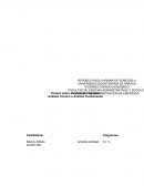 Ensayo sobre Mercado de Capitales Análisis Técnico o Análisis Fundamental