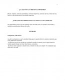 ¿Cuales son las prendas superiores?