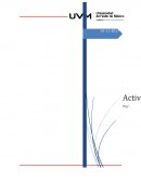 Analisis comparativo de resultados, Grupo Muesti sa de cv