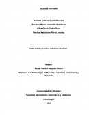 Informe practica sistema nervioso