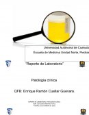 Ensayo sobre elk Resumen de laboratorio clinico