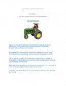 LOS SECTORES PRODUCTIVOS DE AMÉRICA