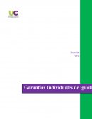 Artículos de la constitución que hablan de la igualdad