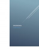 Ergonomia Fujikura Automotive