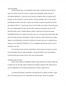 Agua embotellada. Adeuda del agua en Mexico