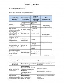 Selección de Personal EMPRESA LINEA MAS. Página 1