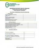 FICHA PARA LA DESCRIPCIÓN DE PROYECTOS EDUCATIVOS