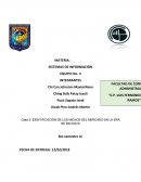 Caso 2: IDENTIFICACIÓN DE LOS NICHOS DEL MERCADO EN LA ERA DE BIG DATA