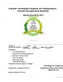 Financiera espigas S.A de C.V