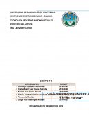 TÉCNICO EN PROCESOS AGROINDUSTRIALES PROCESO DE LÁCTEOS