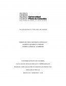 ENSAYO VUELO DE GANSOS