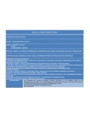 EL NEVUO PRODUCTO FINAL DIPLOMADO RIEB