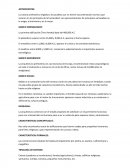 Esquema General Egipcios concepto