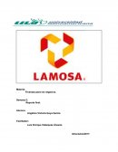 Como es que sae dan las Finanzas para los negocios