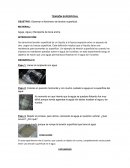 Observar el fenómeno de tensión superficial.