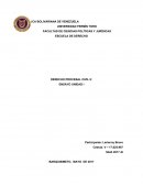 DERECHO PROCESAL CIVIL II: ENSAYO UNIDAD I