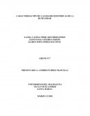 CARACTERIZACIÓN DE LAS EDADES HISTÓRICAS DE LA HUMANIDAD