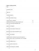 PUENTE DE VEHÍCULOS AUTOMOTORES DE UN SOLO CARRIL