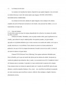 Como es que funcionan las Cámaras de televisión