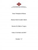 Principio de Eficacia