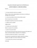 SUSTRATO INDÍGENA Y LA IRRUPCIÓN ESPAÑOLA