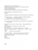 MOMENTO PARA CONSOLIDAR ESTE ESPACIO DE LOS MAESTROS