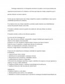 Estrategia empresarial, es la busqueda conciente de un plan e accion
