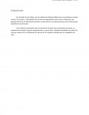 Analisis de notas periodísticas con relación al trabajo docente