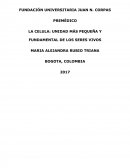 LA CELULA: UNIDAD MÁS PEQUEÑA Y FUNDAMENTAL DE LOS SERES VIVOS
