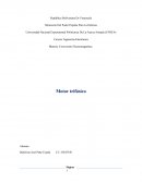 Motor trifasico Conversión Electromagnética