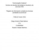 Registro de información contable de diversas cantidades económicas