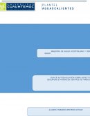 GUÍA DE AUTOEVALUACIÓN SOBRE ASPECTOS DE SEGURIDAD E HIGIENE EN CENTROS DE TRABAJO