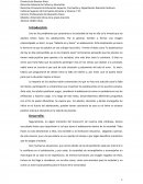 Reflexion sobre la adolescencia