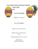 Dengue y dengue hemorrágico”