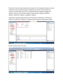 Práctica 20. Programación. Página 1