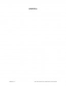 Logistica. Caso Público