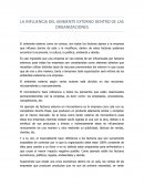 LA INFLUENCIA DEL AMBIENTE EXTERNO DENTRO DE LAS ORGANIZACIONES