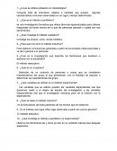 ¿A que se refiere población en metodología?