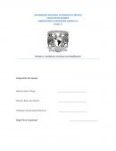 Práctica 5. Destilación Continua con Rectificación