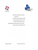 CONOCIENDO EL DESARROLLO DEL NIÑO