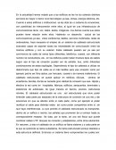 ENSAYO TEORÍA DE REDES