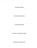 En este texto podemos apreciar el contenido normativo que contiene esta declaración