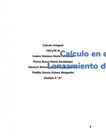 Calculo integral. Página 1