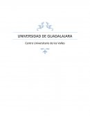 Demanda de Derecho procesal civil