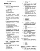 Cadena respiratoria 2006