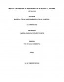 BIÓSFERA, CICLOS BIOGEOQUÍMICOS Y CICLOS GASEOSOS